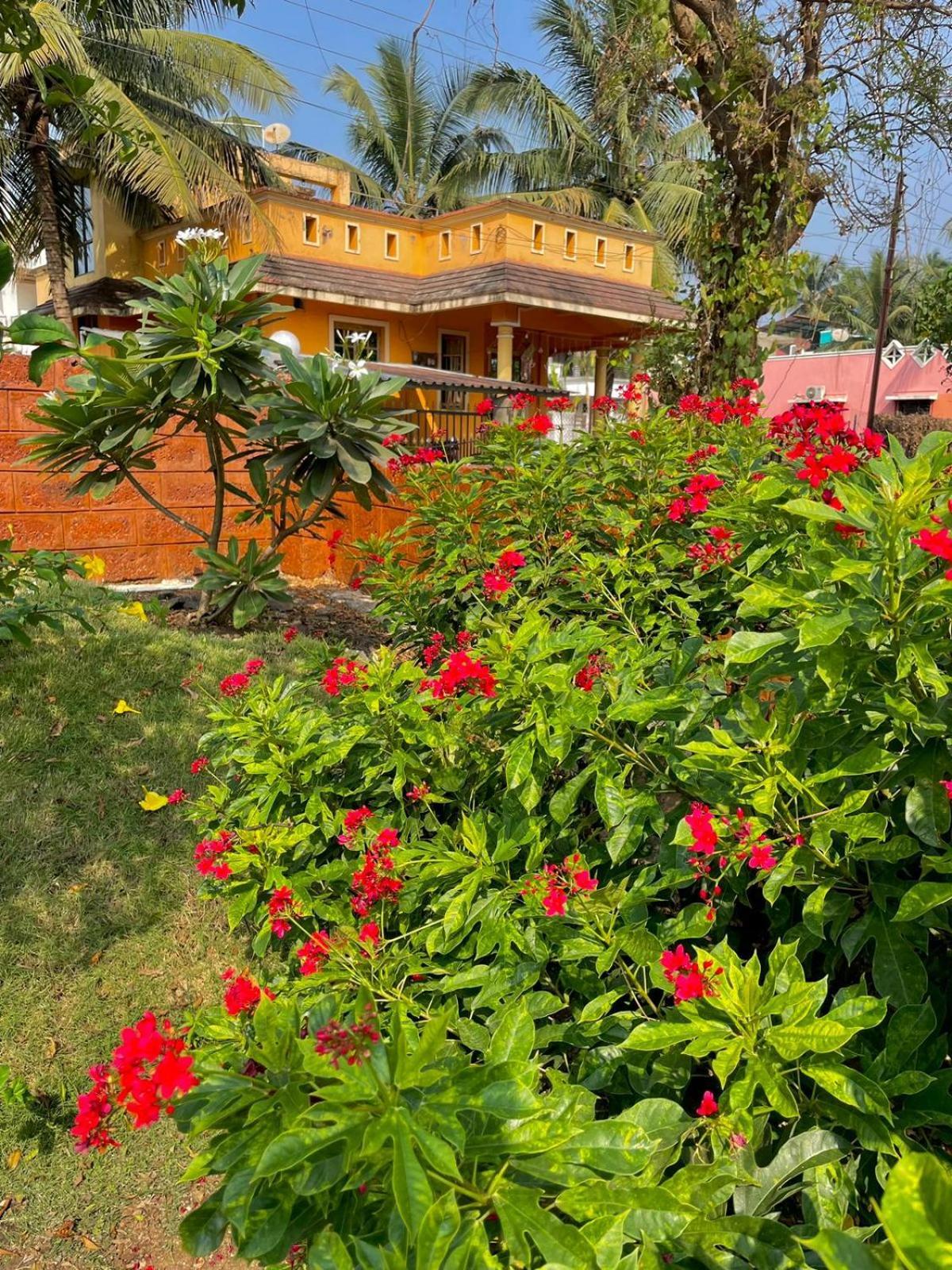 Scarlet Resort Алибаг Экстерьер фото